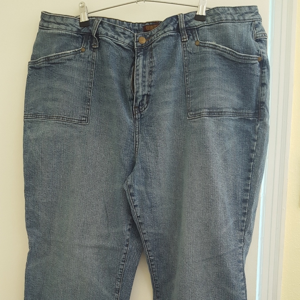 Zana*Di for Fashion Bug blue jeans Premium sz 24S